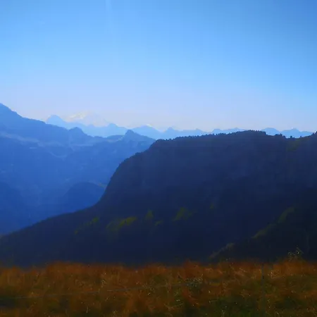 Domaine De La Griffe - D'hotes 