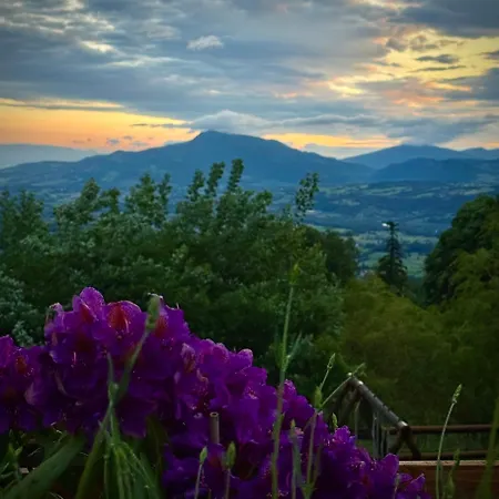 Domaine De La Griffe - D'hotes 